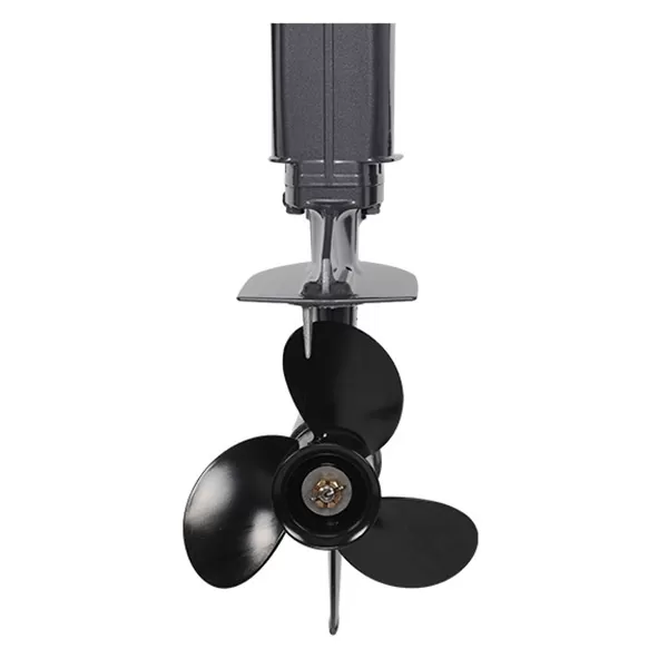 Лодочный мотор ALLFA CG T9.9 FWS MAX