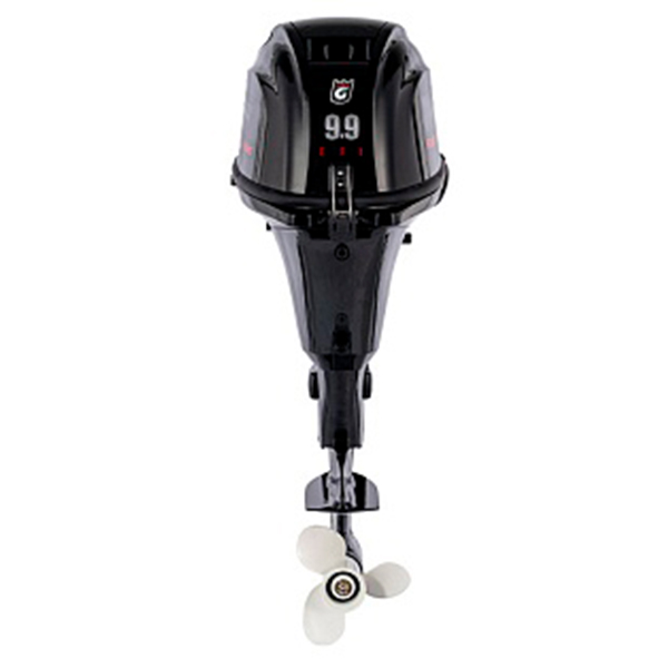 Лодочный мотор GOLFSTREAM F 9.9 AFWS Enduro EFI