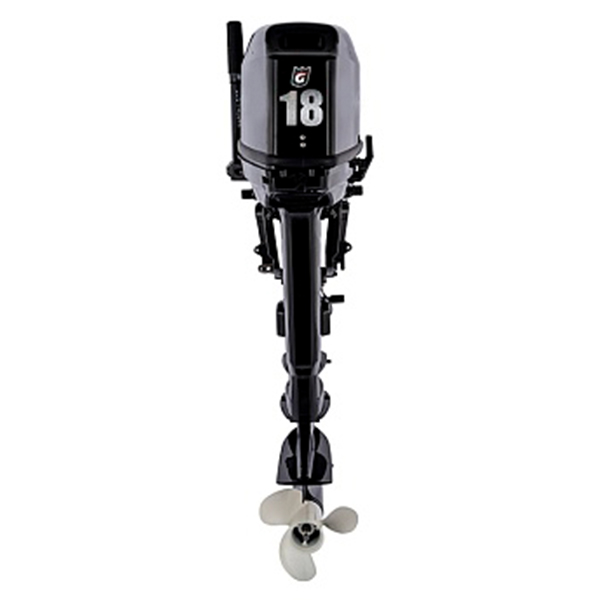 Лодочный мотор GOLFSTREAM T 18 BMS
