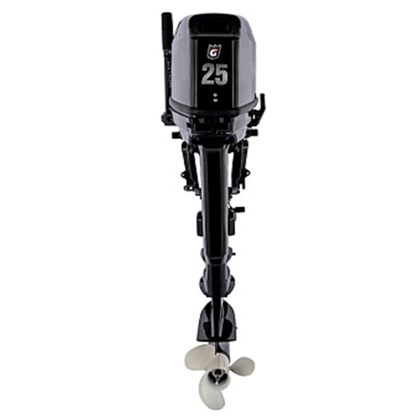 Лодочный мотор GOLFSTREAM T 25 BMS