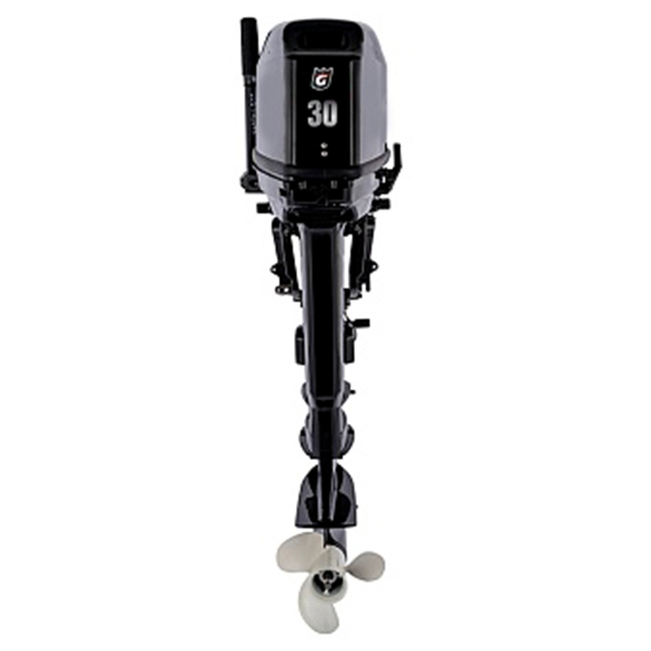 Лодочный мотор GOLFSTREAM T 30 ABMS