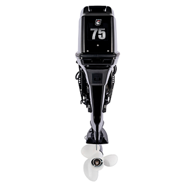 Лодочный мотор GOLFSTREAM T 75 FEL-T