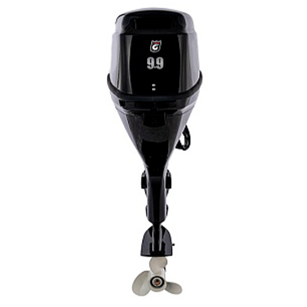 1aa32e96baad6166a9af90045593c3ca Лодочный мотор GOLFSTREAM F 9.9FWS