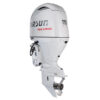 Лодочный мотор Parsun F115FEL-T-EFI White