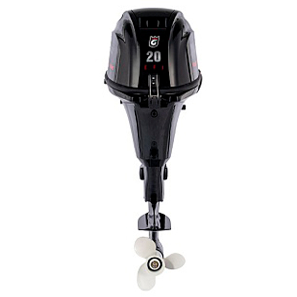 Лодочный мотор GOLFSTREAM F20AFWS-EFI