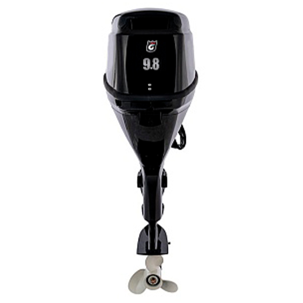 bd0aff63ed9800df9e3e0e752f828f63 Лодочный мотор GOLFSTREAM F9.8FWS
